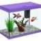 aquarium-fish-tank-500x500