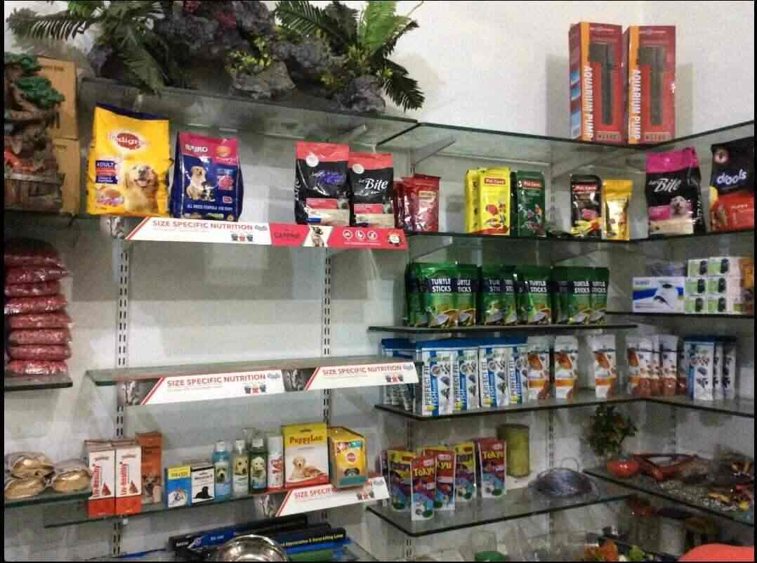 Ani pet shop Rishikesh City